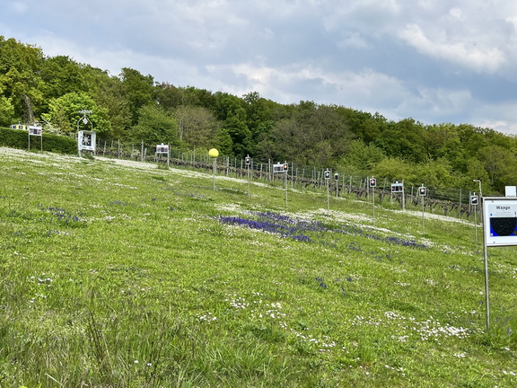 22-05-02 14-01-21 0730